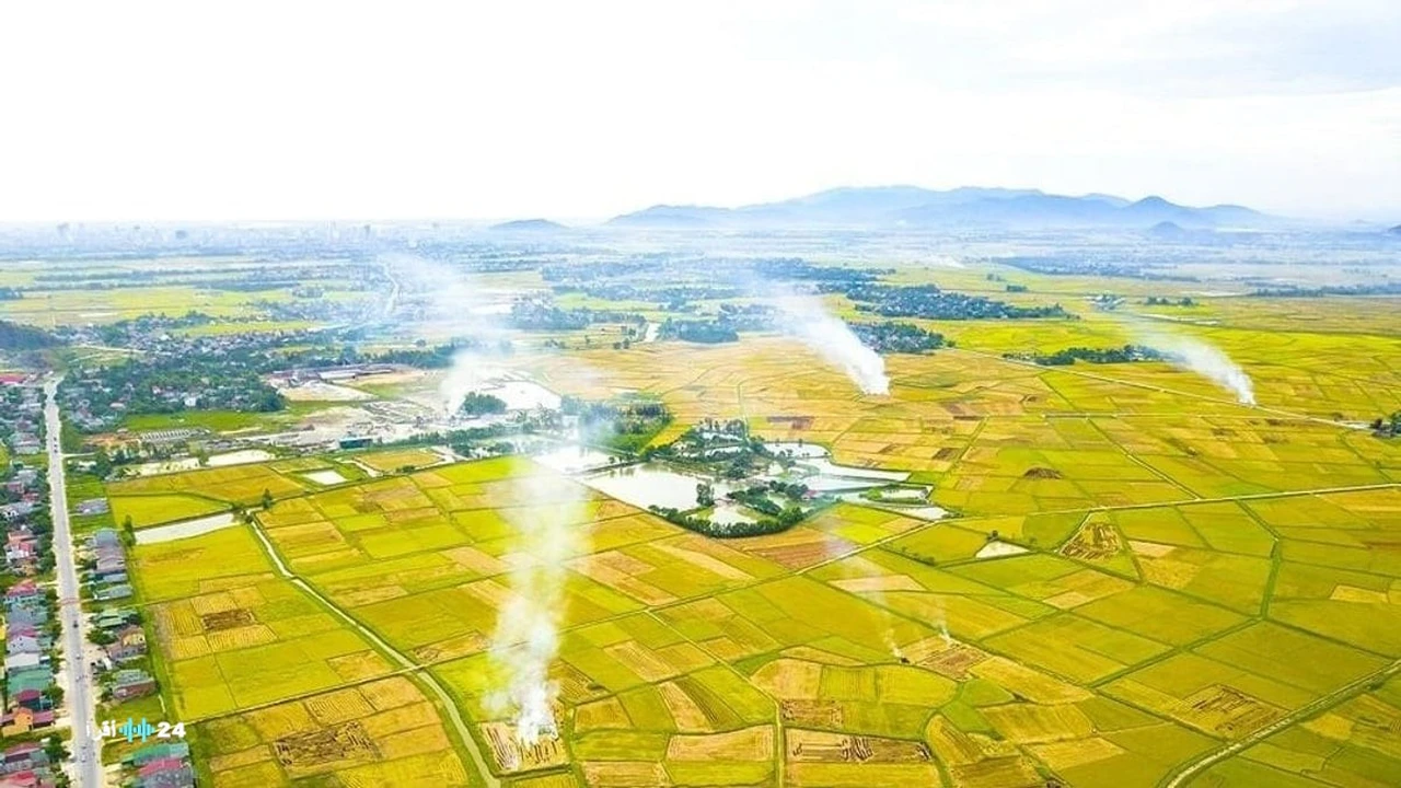 زخات مطر وعواصف رعدية تترقبها البلاد ليلاً تزامناً مع سماء مشمسة نهاراً